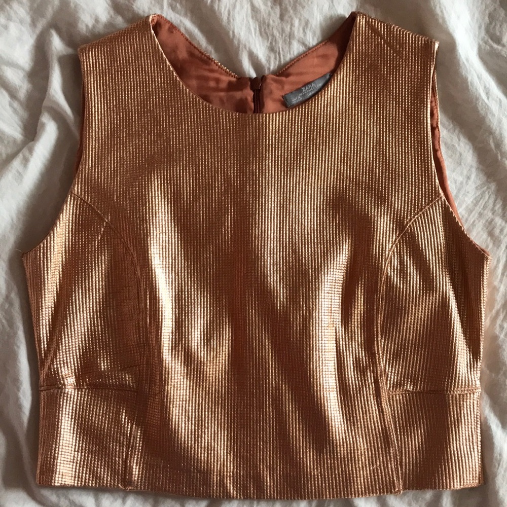 Zara Rose Gold Metallic Crop Top